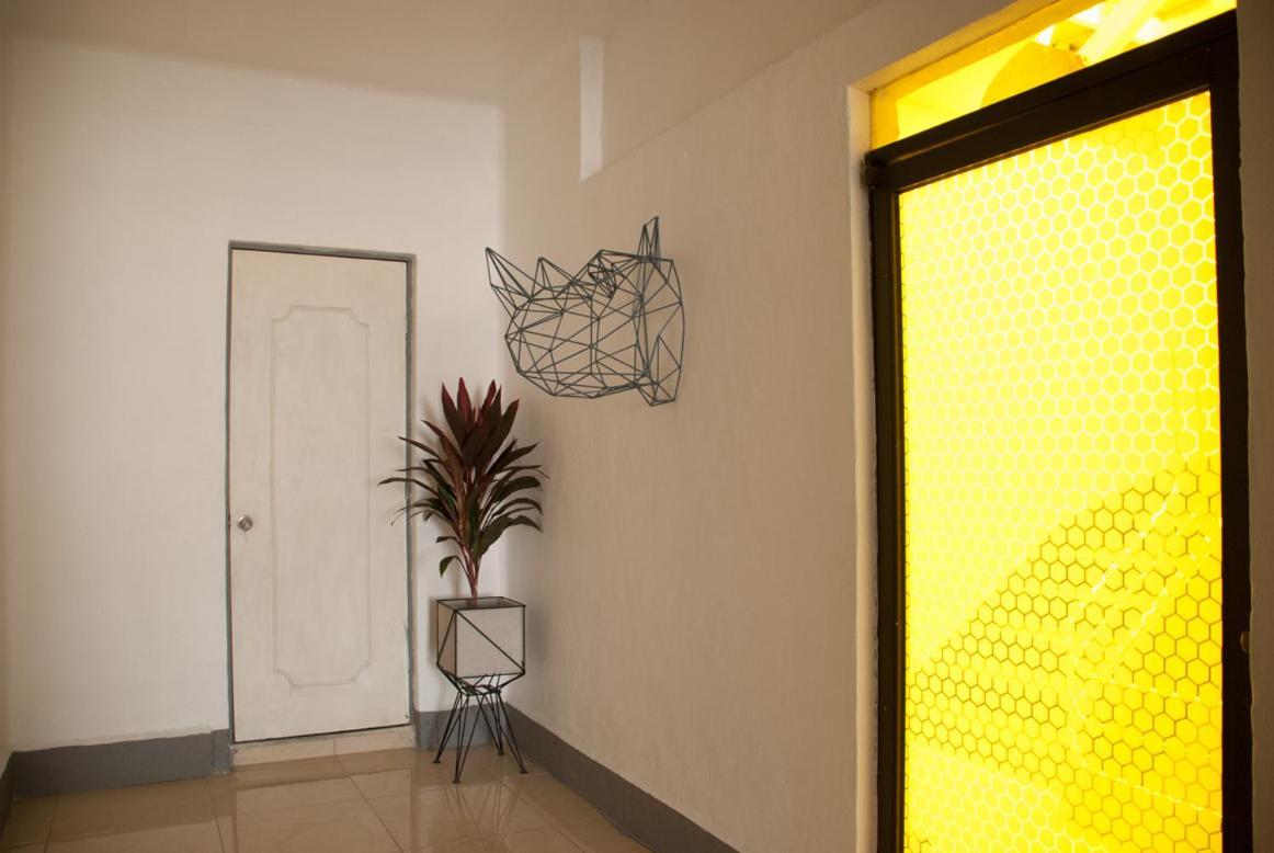 Wanderlust District Bed and Breakfast México DF Exterior foto
